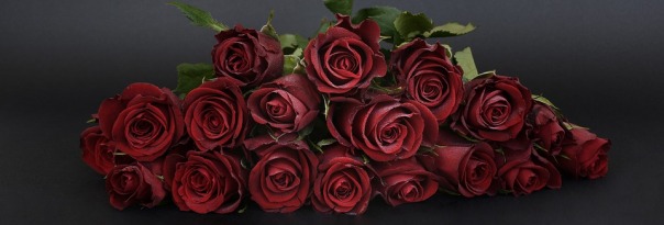 roses-1473685_960_720.jpg